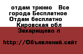 отдам трюмо - Все города Бесплатное » Отдам бесплатно   . Кировская обл.,Захарищево п.